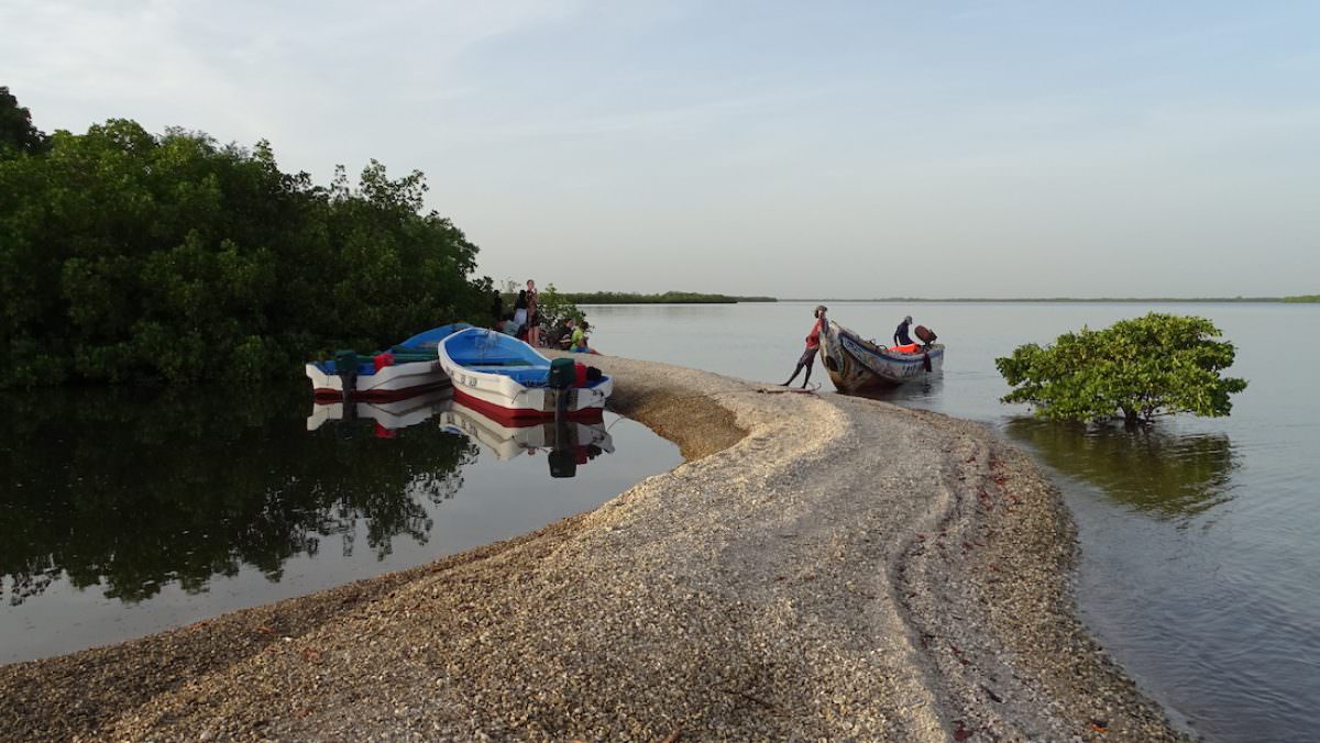 El parque nacional del delta del Saloum 
