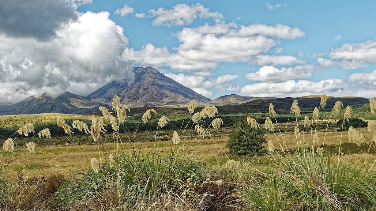 Parque nacional Tongariro