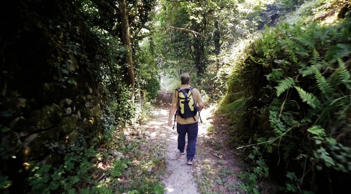 Camino Natural de la Ribeira Sacra / ruta del monasterio de Santa Cristina