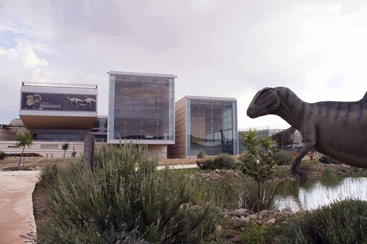 Museo de las Ciencias y Museo Paleontológico (MUPA)