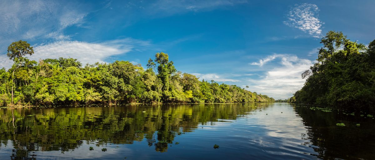 La reserva nacional Tambopata y el parque nacional del Manu
