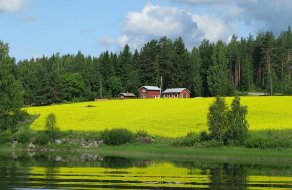 De Helsinki a Jyväskylä: ruta por los grandes lagos azules de Finlandia