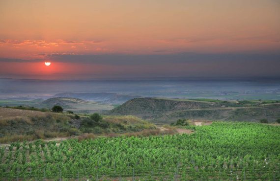 La Rioja Baja: viñedos, castillos, parajes naturales y balnearios en el Oriente riojano 